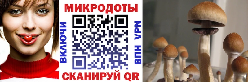 Псилоцибиновые грибы ЛСД  ссылка на мегу как зайти  Серафимович 
